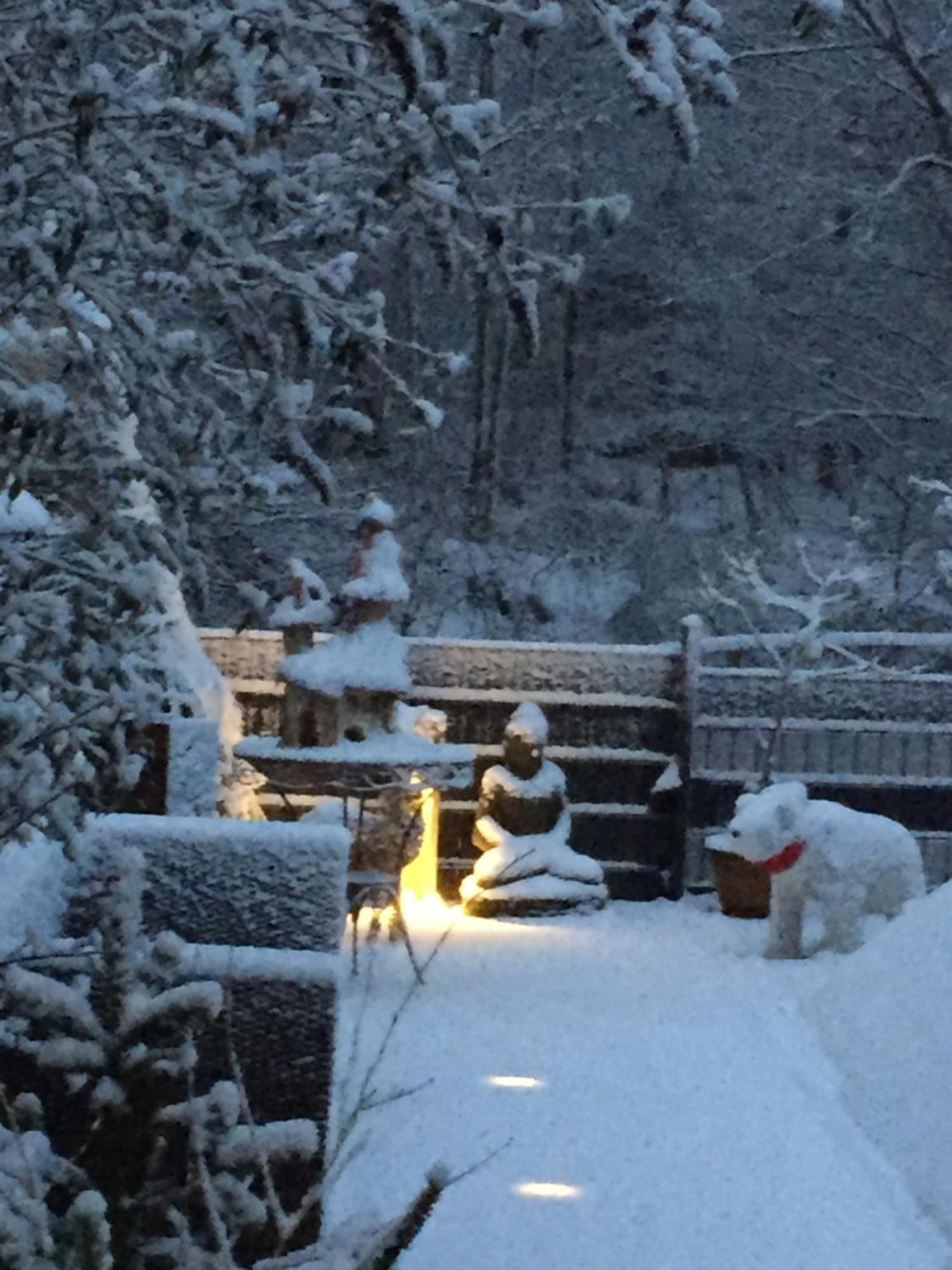 Ferienwohnung Im Morgenbachtal Trechtingshausen Exteriér fotografie