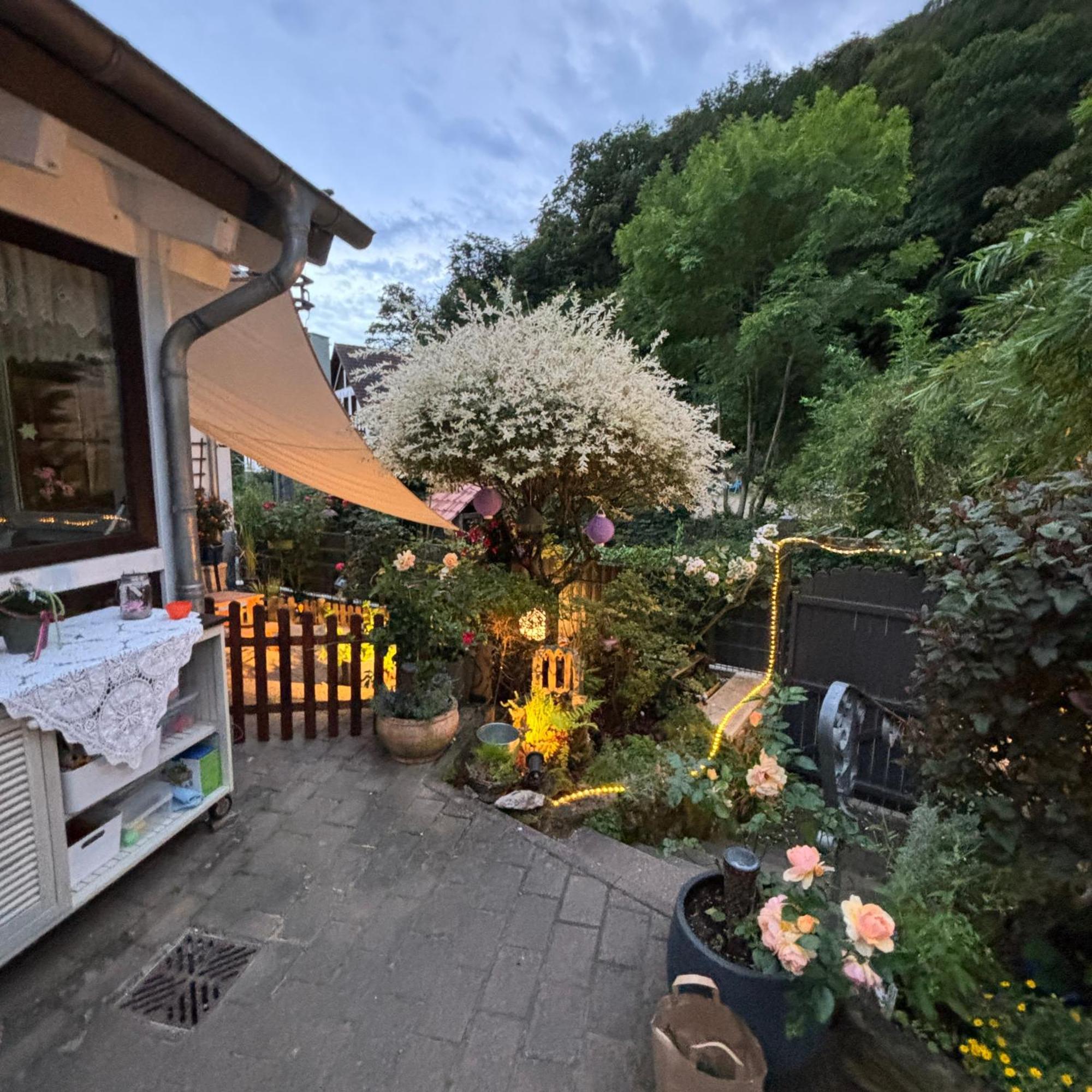 Ferienwohnung Im Morgenbachtal Trechtingshausen Exteriér fotografie