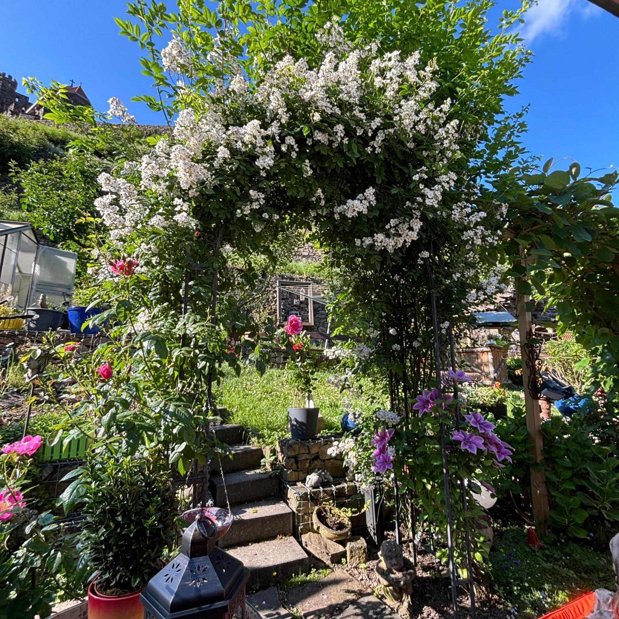 Ferienwohnung Im Morgenbachtal Trechtingshausen Exteriér fotografie