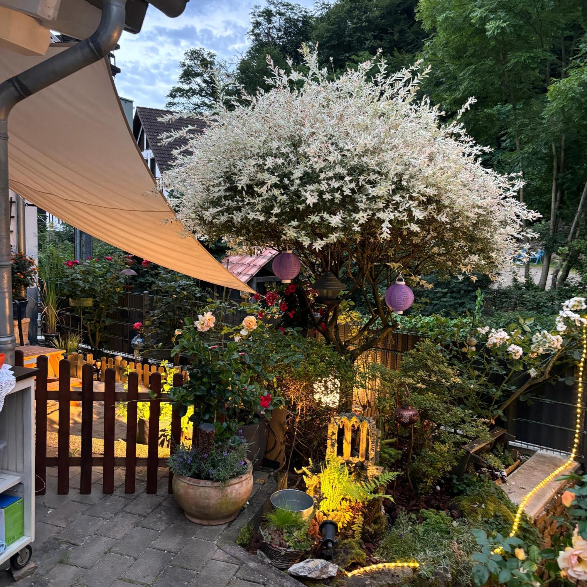 Ferienwohnung Im Morgenbachtal Trechtingshausen Exteriér fotografie