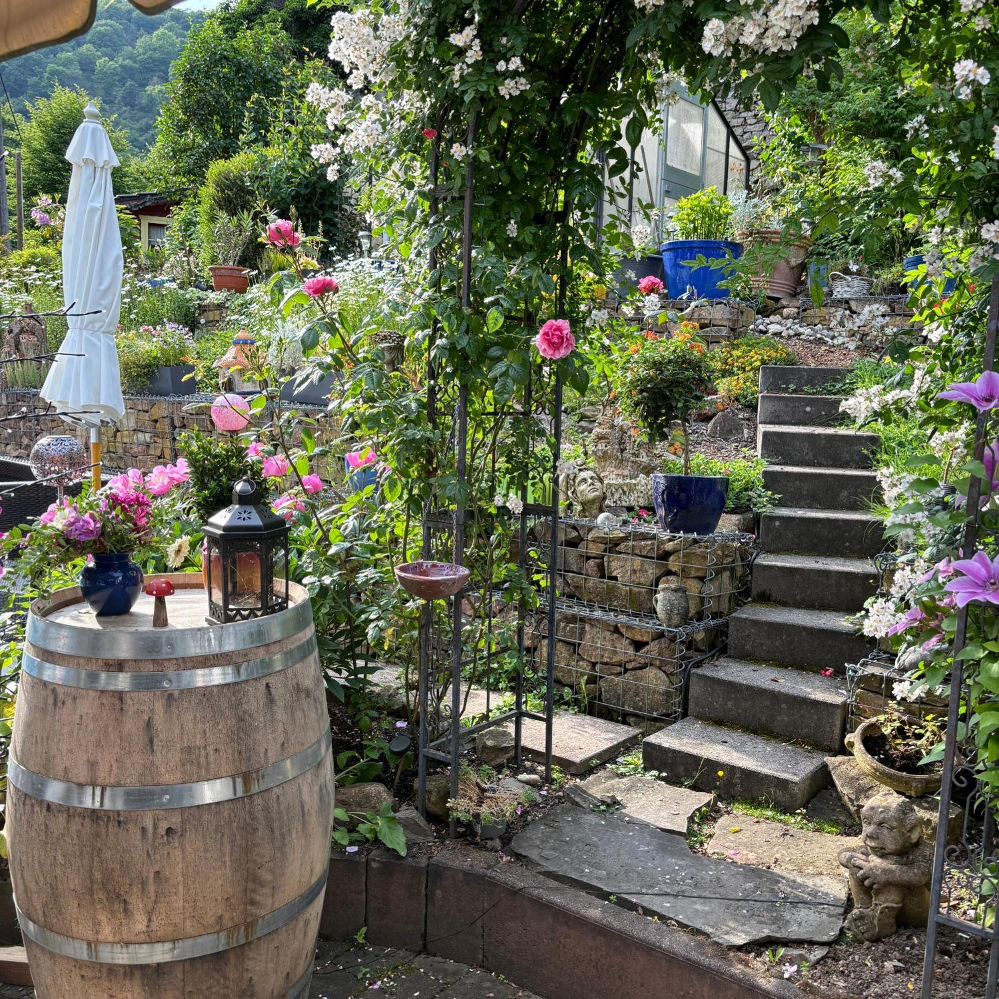 Ferienwohnung Im Morgenbachtal Trechtingshausen Exteriér fotografie