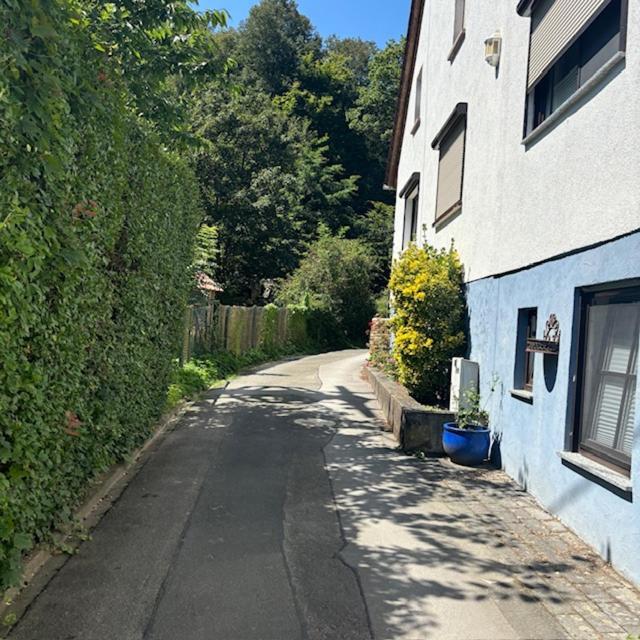 Ferienwohnung Im Morgenbachtal Trechtingshausen Exteriér fotografie