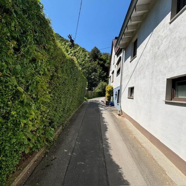 Ferienwohnung Im Morgenbachtal Trechtingshausen Exteriér fotografie